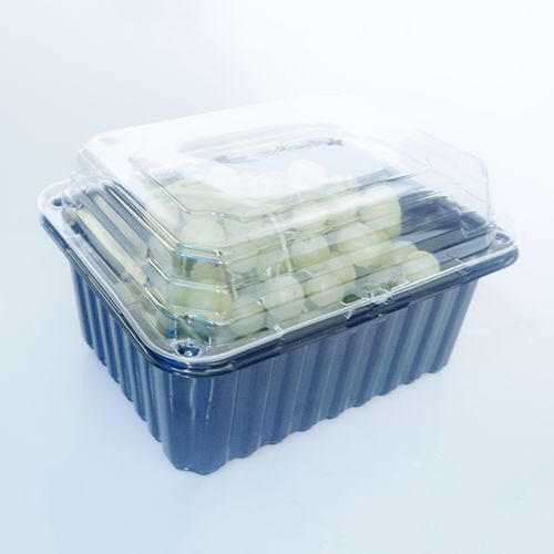 武汉英光包装零售易自主研发一次性吸塑盒吸塑包装个性化定制产品吸塑
