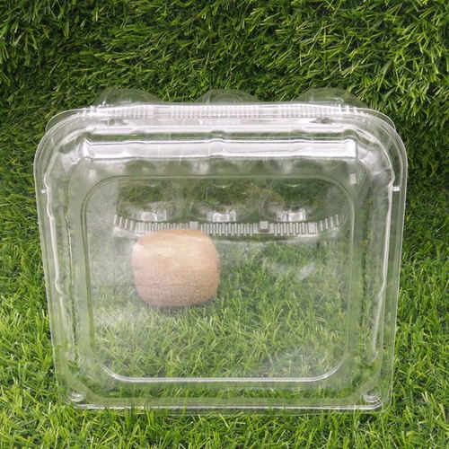 武汉吸塑包装厂零售易供应专业定做优质六个装奇异果 猕猴桃 对折产品吸塑包装盒子