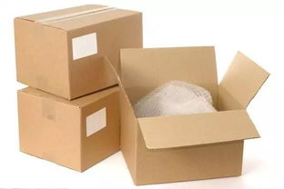 中班主题活动 纸的世界